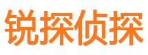 新民侦探公司